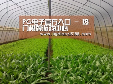 种植基地四
