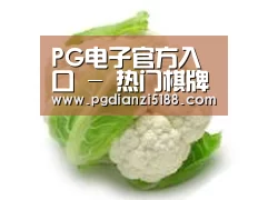 产品名称九