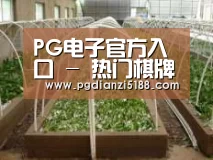 环境展示五