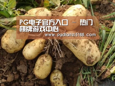 种植基地六