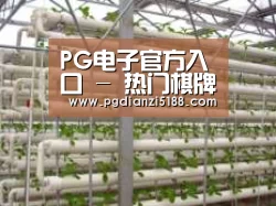 环境展示六